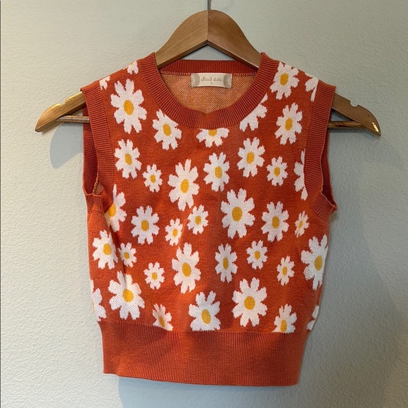 Altar'd State Other - Altar'd State Orange Daisy Knit Top